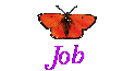 Job
